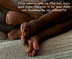 IMG_3427b (1).png