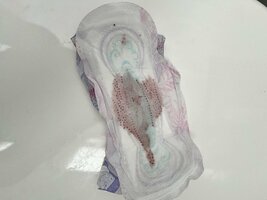 IMG_1111.jpeg
