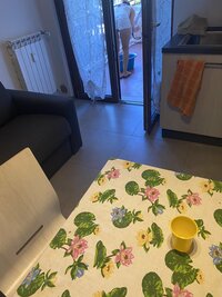 IMG_0554.jpeg