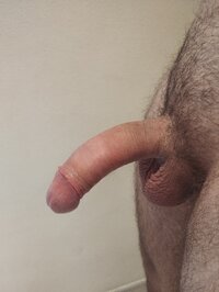 IMG_20241013_113419.jpg
