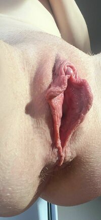 LL__87216339.jpg