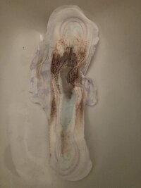 IMG_5622.jpeg