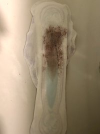IMG_5627.jpeg