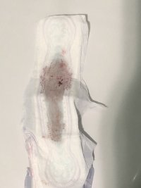 IMG_5747.jpeg