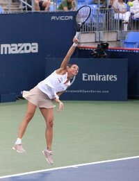 fl8.jpg