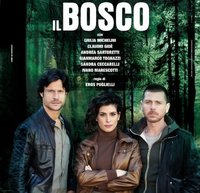Il Bosco (2015) TV.jpg