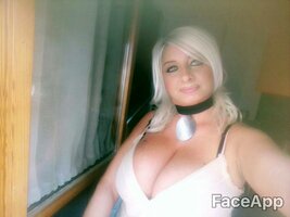 MS2.jpg