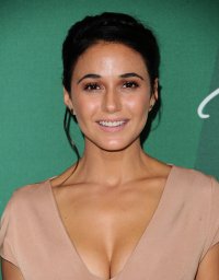 emmanuelle chriqui al gala 14.jpg