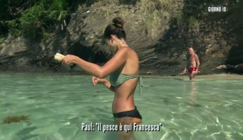 fl (1).png