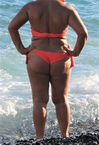 la vacca (2)-.jpg