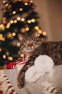 c6164d7dc5db3415d9855d890e7131e0.jpg