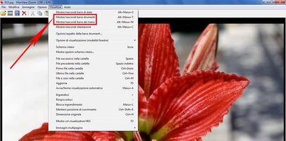irfanview-5.jpg