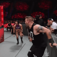 20230822_144306.gif