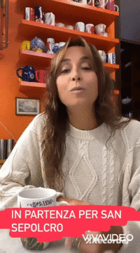 XiaoYing_Video_16941712136871694171222.gif